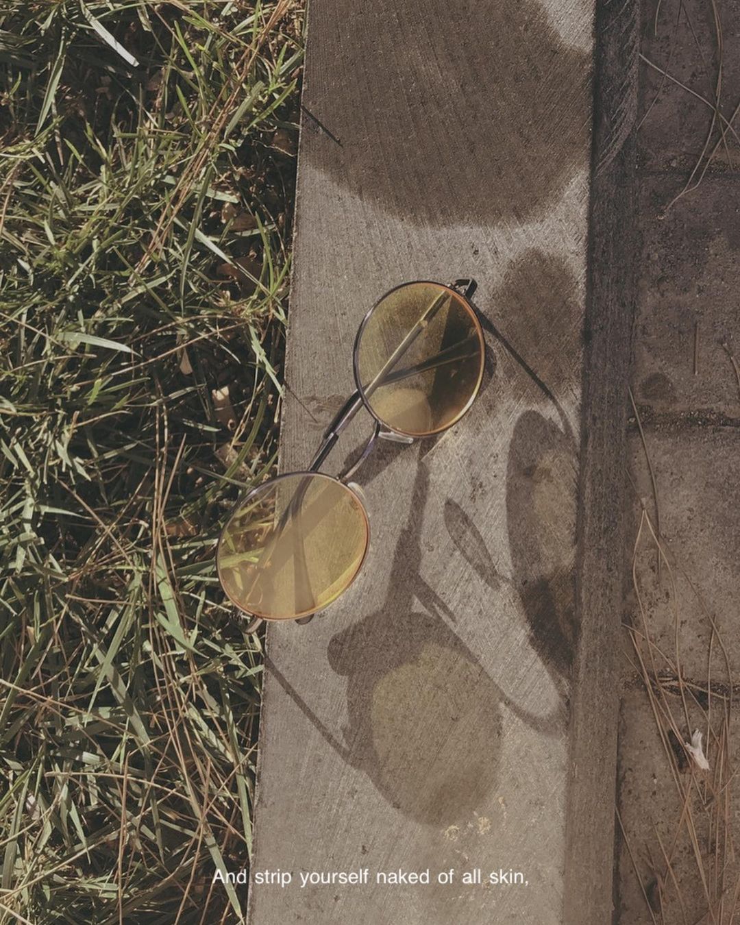 Round yellow-tinted glasses resting on a sunlit concrete kerb beside grass